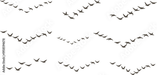 Flying birds flock silhouettes set with migration patterns sky wildlife vector illustration collection
