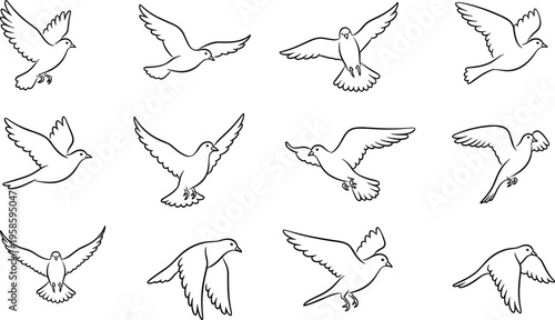Flying dove birds line art set with different wing poses peace symbol cartoon vector illustration collection