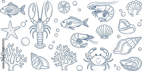 Vector marine life illustration featuring fish, lobster, shrimp, crab, starfish, shells, coral, and bubbles 
