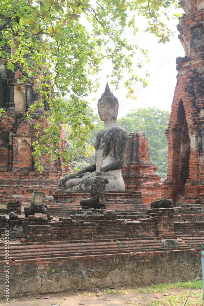 Obraz premium Thai