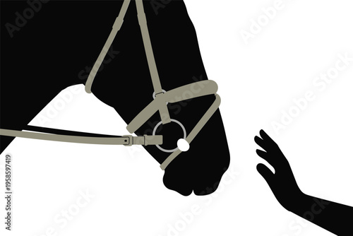 Silhouette of a human hand reaching for a horse's head, human animal connection concept