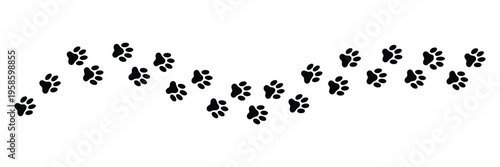 Dog paw print wave line, cute cat pawprint, pet foot trail, black dog step silhouette, simple doodle drawing, vector isolated on white background