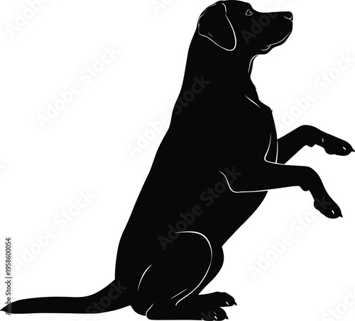 Black silhouette of a Labrador retriever dog sitting and begging with paws up representing pet training obedience loyalty and domestic animal