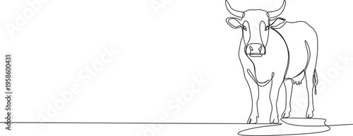 continuous line drawing of cow, front view, line art vector illustration