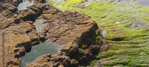 Rocas en bajamar