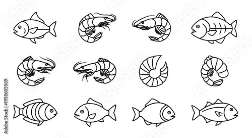 Collection of Hand-Drawn Shrimp and Fish Illustrations for Marine-Themed Designs
