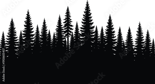 Layered coniferous forest silhouette with tall pine and fir trees, artistic black and white minimalist skyline nature illustration design
