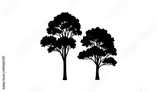 Black Tree Silhouette Duo Vector Natural Forest Illustration