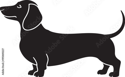 Dog Silhouette Icon,Dachshund Dog Silhouette Icon