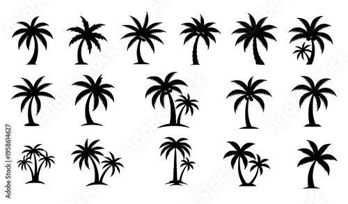 A set of black palm tree silhouettes on a white background