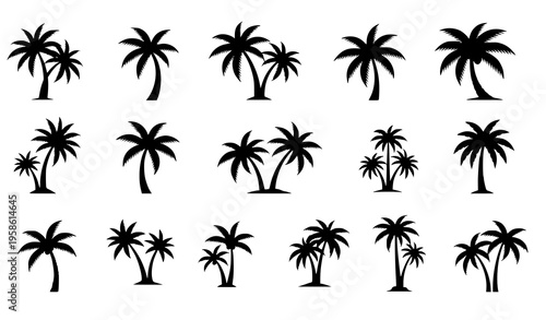 A set of black palm tree silhouettes on a white background