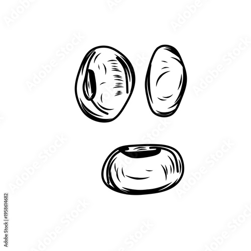 Hand Drawn Organic Soybean Seeds Illustration