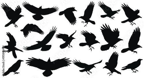 Set of Black Silhouettes of Crows and Ravens in Various Flying Poses