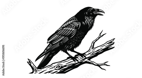 Black Raven Bird Perched on a Gnarled Tree Branch Vector