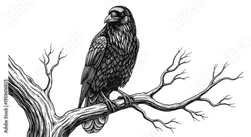 Black Raven Perched on a Bare Tree Branch Detailed Ink Illustration