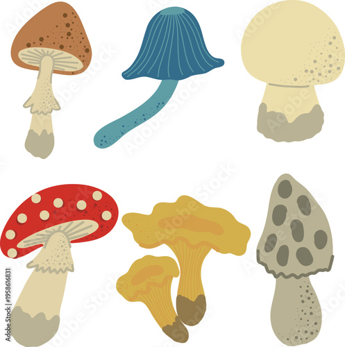 Mushrooms clipart set. Vector clipart isolated on transparent background.