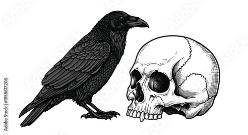 Raven Bird Perched Next to Human Skull with Detailed Feathers and Bone Structure