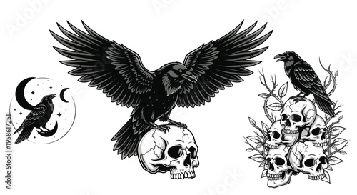 Raven Crow Bird Skull Gothic Moon Stars Crescent Branches Occult Mystical