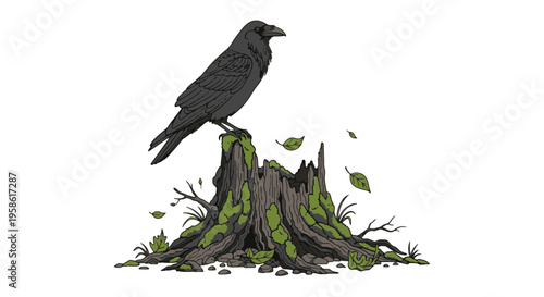 Raven Perched on a Mossy Dead Tree Stump Surrounded by Leaves and Rocks