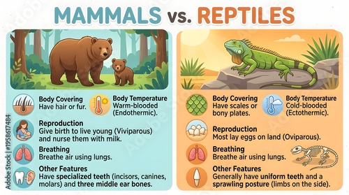 information about vertebrates for children's biology education