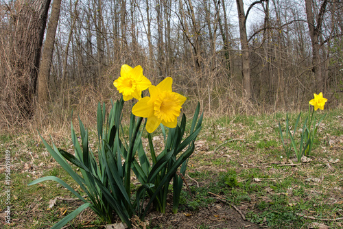Der
Seelhorster Garten ist ein modernes Stadtquartier im Hannoveraner Stadtteil