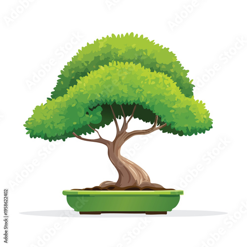 Bonsai tree in green pot isolated on white background stylized illustration