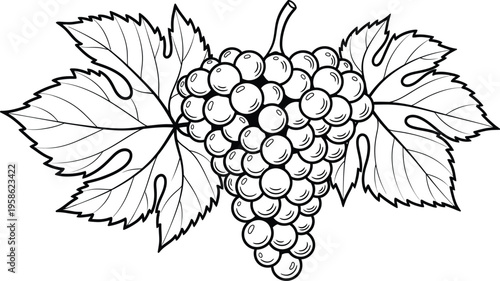A black and white illustration of a bunch of grapes with leaves
