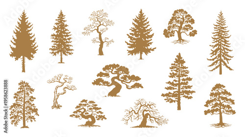 Hand drawn brown silhouette trees vector set featuring pine and fir, engraving style nature collection with detailed forest elements for landscape design, vintage botanical and woodland illustration