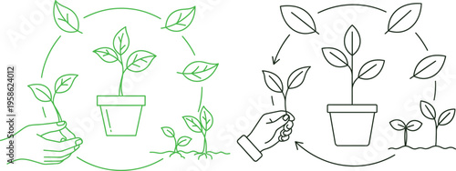 Illustration of hands planting and nurturing various potted plants