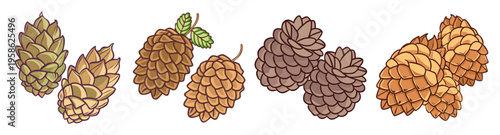 set of five detailed pine cones flat design vector illustration