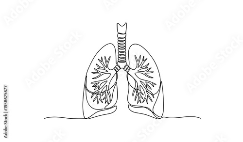 One continuous line drawing lungs anatomy medical line art vector illustration
