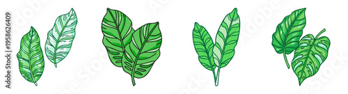 tropical green leaves set flat design vector illustration icon pack