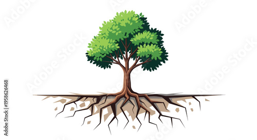 A tree with a strong root system and lush green leaves on a white background