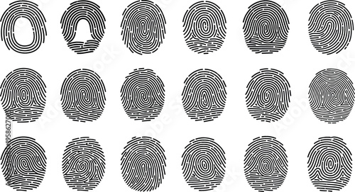 Fingerprint Collection with Unique Biometric Patterns Identity Recognition Marks and Security Authentication Elements Set for Forensic and Digital Protection Illustration