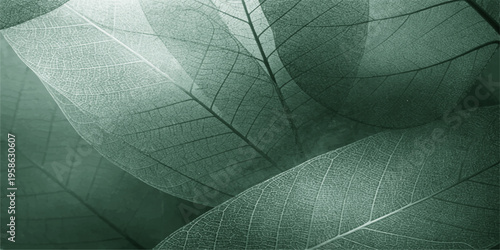 A macro close-up of a green leaf texture reveals a natural pattern of veins and organic structure in this vivid foliage wallpaper