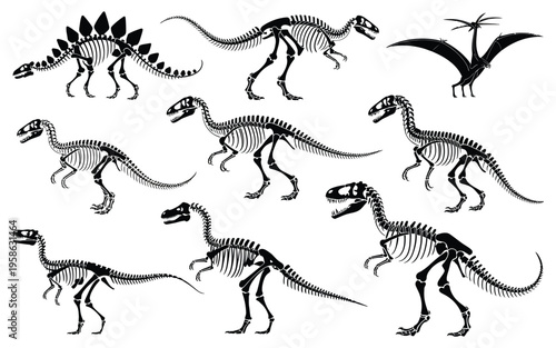 Dinosaur skeletons vector set featuring dino bones, tyrannosaurus skeleton and stegosaurus fossil, ancient animal remains illustration for paleontology, museum design and prehistoric education