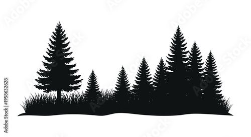 Dark forest scene with evergreen trees and grassy foreground silhouette