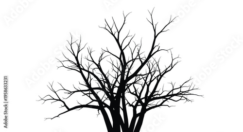 Bare winter tree branches against a white background a dark silhouette