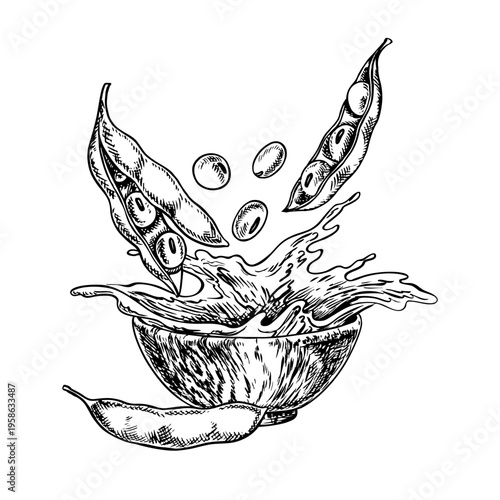 Soybean oil. Soybeans fall into a wooden bowl of oil. Black and white vector graphics. Perfect for creating labels, advertisements, packaging, banners, posters, and more