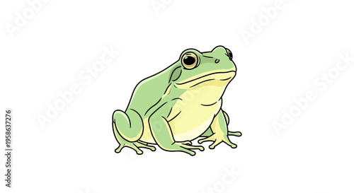 Green Frog Sitting on Ground Looking.