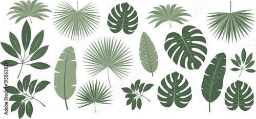 Tropical palm monstera banana leaves pattern, lush green foliage design, exotic jungle plants decoration, botanical nature flat vector illustration artwork