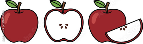Red apples vector illustration showing whole fruit, halved interior with seeds, and sliced wedge, realistic design for food, nutrition, cooking, gardening, and healthy lifestyle concepts