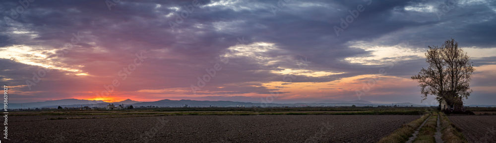 Fototapeta premium Albufera Natural Park in Valencia (Spain)