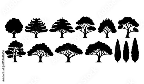 Tree silhouette vector set with diverse canopy shapes and perched birds decorative forest illustration isolated on white background