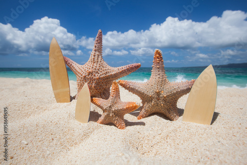 Starfish rest and tan on the white sand