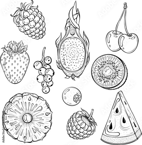 Set of fruits with blackberry, raspberry, cherry, strawberry, watermelon, pineapple, dragon fruit. For packaging, sticker. Vector illustration in hand drawn sketch style. Line art isolated on white