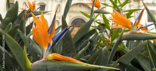 Wallpaper Mural Historic colonial church framed by tropical flowers under a cloudy sky, blending architecture and nature in a picturesque Latin American cultural landmark. Torontodigital.ca
