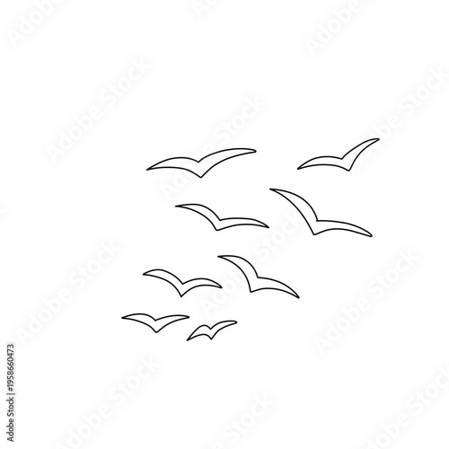 flock of flying birds
