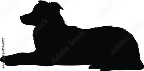 Border Collie silhouette vector illustration black and white