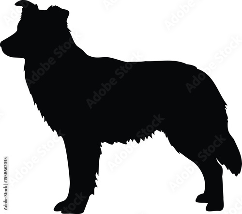 Border Collie silhouette vector illustration black and white